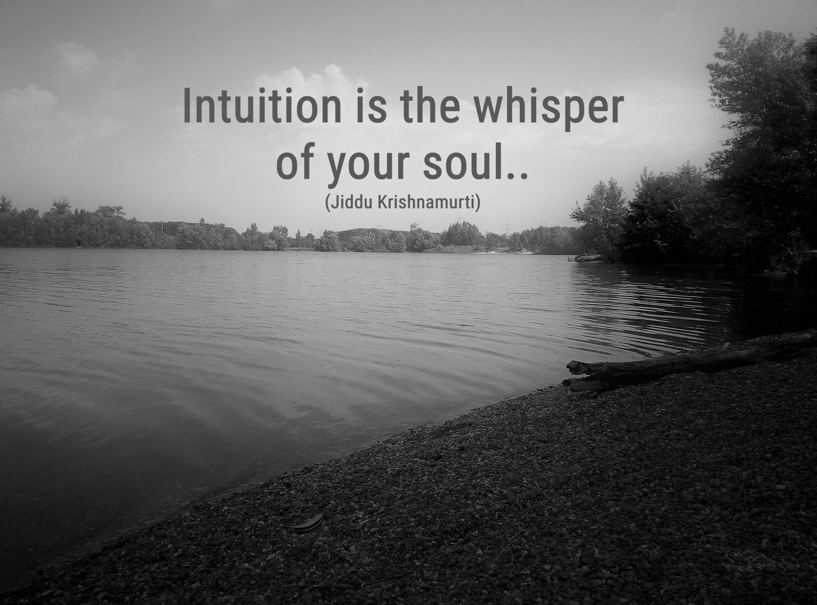 Intuition bw